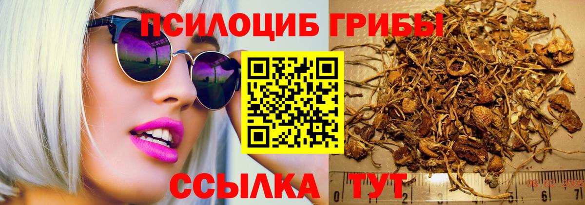 Галлюциногенные грибы MAGIC MUSHROOMS Ханты-Мансийск